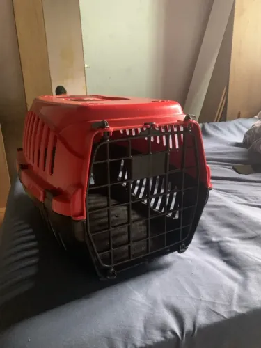 caixa de transporte pet