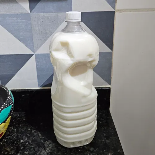 Leite fresco de vaca direto da ordenha o sabor que o UHT não substitui