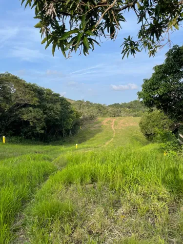 Vendo / troco , 5 tarefas 