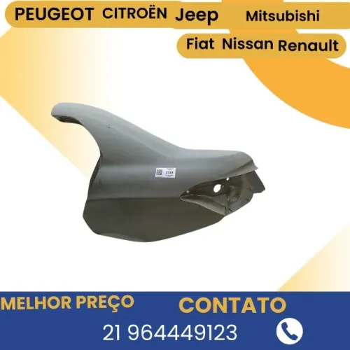 Folha Lateral Traseira Esquerda Citroen C4 Lounge    etq3732