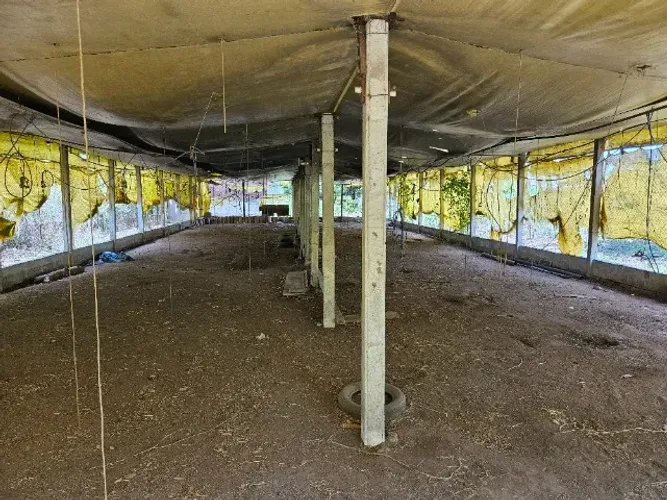 Equipamentos Galpão / Madeira/ Telhas / Postes / Desmonte