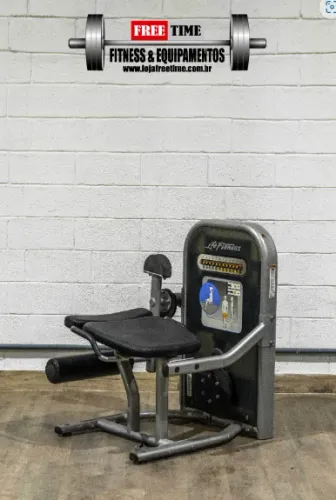 Cadeira extensora life fitness usado