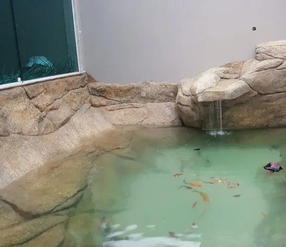 Projetos, Consultoria, Revitalização e Manutenção!!! Piscina natural e Lagos e aquários 