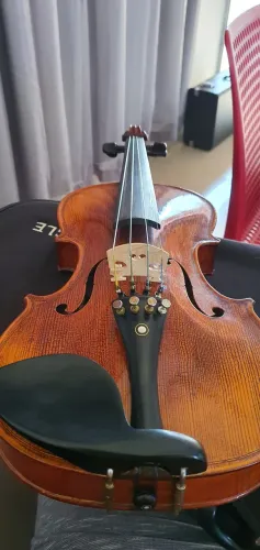 VIOLINO Eagle VK544