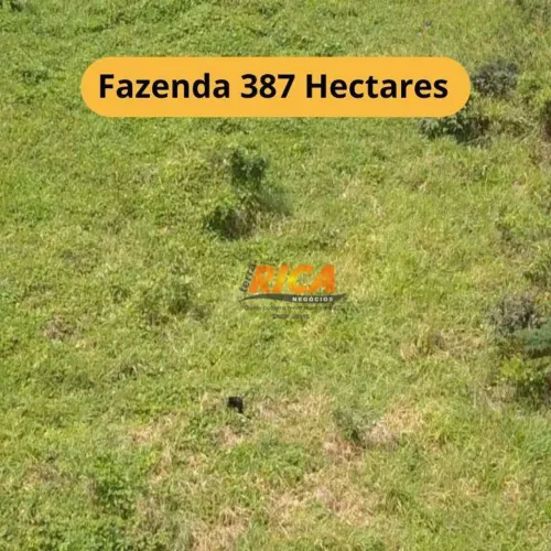 Vende-se Fazenda , com 387 hectares na Zona Rural do município de Apuí/AM