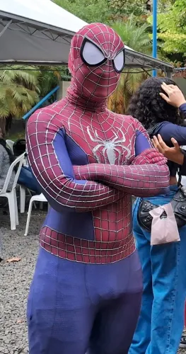 Homem-Aranha Cosplay