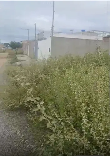Oportunidade! Dois Lotes Juntos (400m²) no Loteamento Parque Itatiunga - Patos/PB