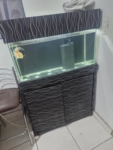 Aquario a venda
