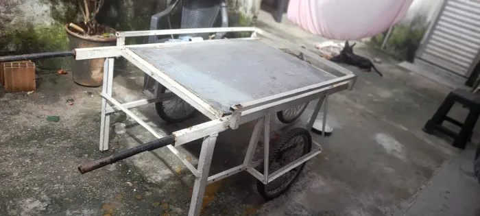 Carro de mão grande, ótimo para realizar vendas (usado somente por 1 ano)