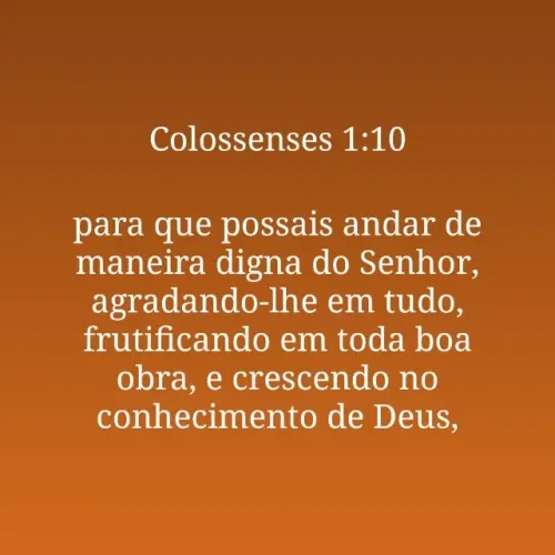Procuro investidor 