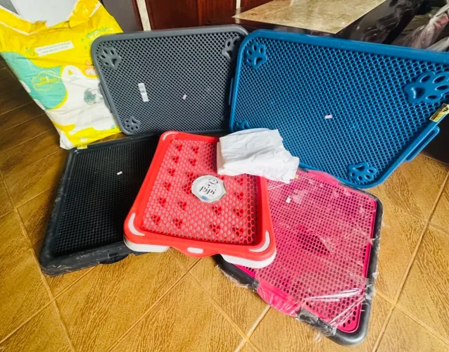 Sanitário pet e kit de tapetes higiênicos 