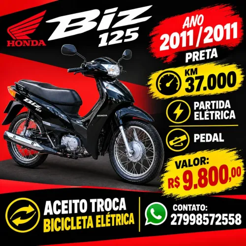 Biz 2011
