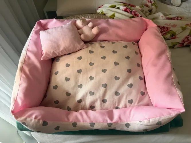 Caminha PET completa