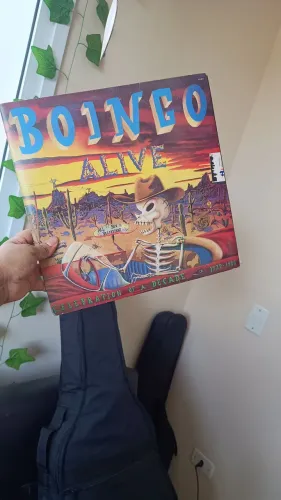 Disco de Vinil