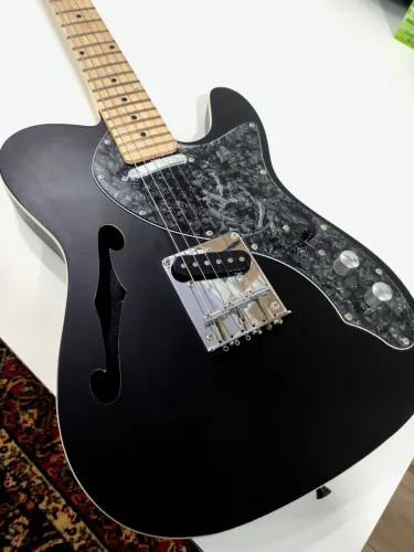 Guitarra Telecaster Semi-Acústica waldman (Terrific series)