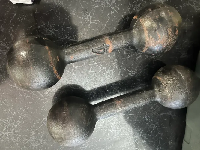 Par de halteres 4kg