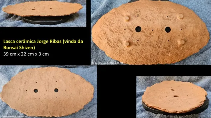 Lasca vaso terracota para bosque de bonsai jorge ribas