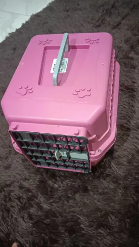 Caixa transporte cães e gatos