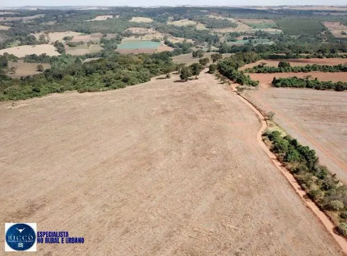 Terra à Venda em Silvânia/GO - 75 hectares