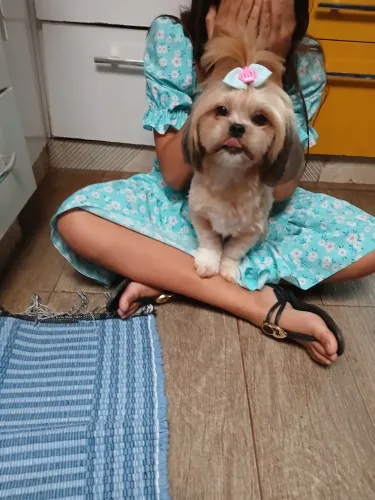 Doa liasa apiso femeia adulta