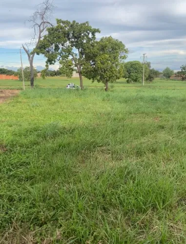 Lote Comercial - Loteamento Genebra | Ágio