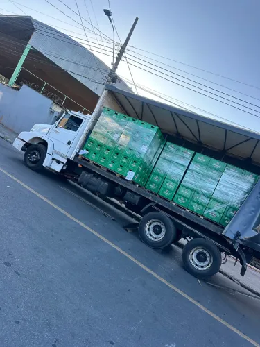 L1620 truck sider