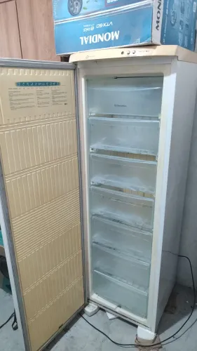 Freezer grande 110v
