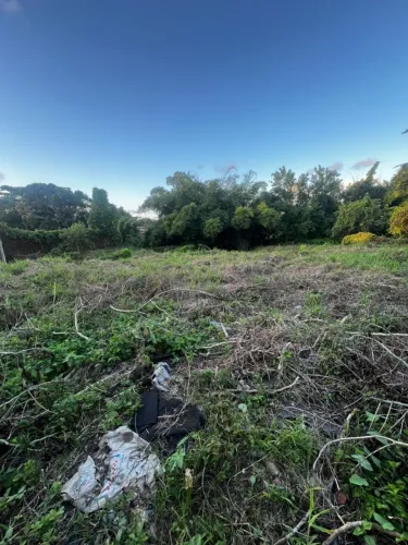 GALPÃO - Terreno com 1.000m2, ideal para galpão.
