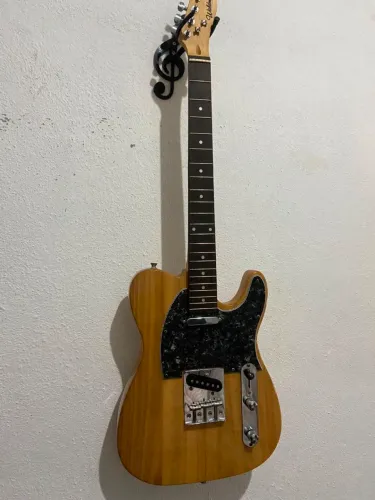 Guitarra Telecaster Waldman Terrific Series
