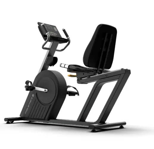 Bicicleta Ergométrica Profissional Horizontal Movement RTR