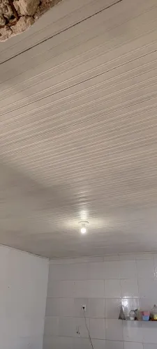 Doação de foro de pinheiro aprox 100m²