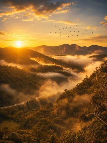 Oportunidade abaixo do valor com muita natureza!