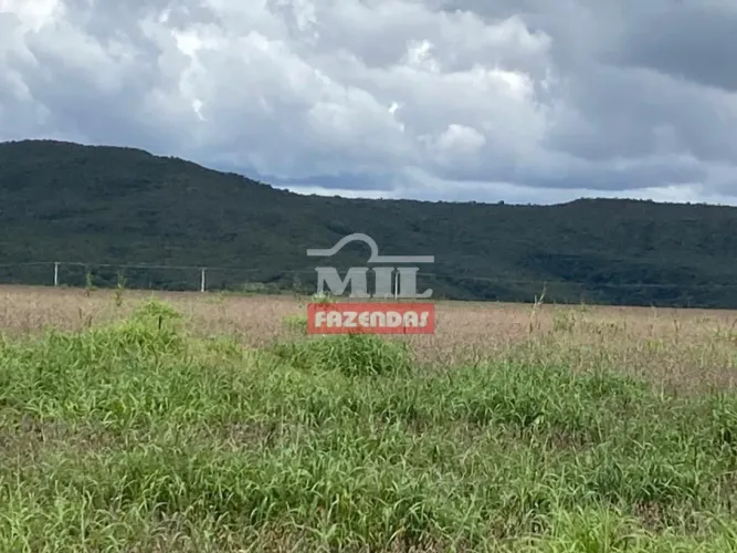 Fazenda 341 Alqueires (1.616 hectares) Padre Bernardo - GO
