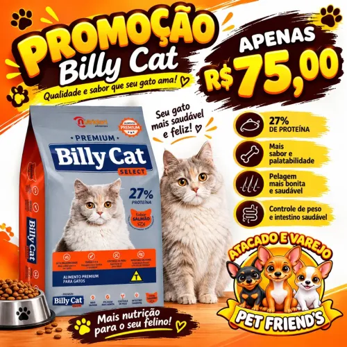 Ração Billy cat 10kg R$75,00
