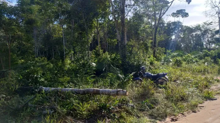Lindo terreno 