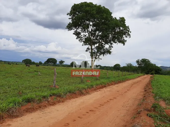 Fazenda 30 Alqueires (145,20 Hectares) Minaçu - GO