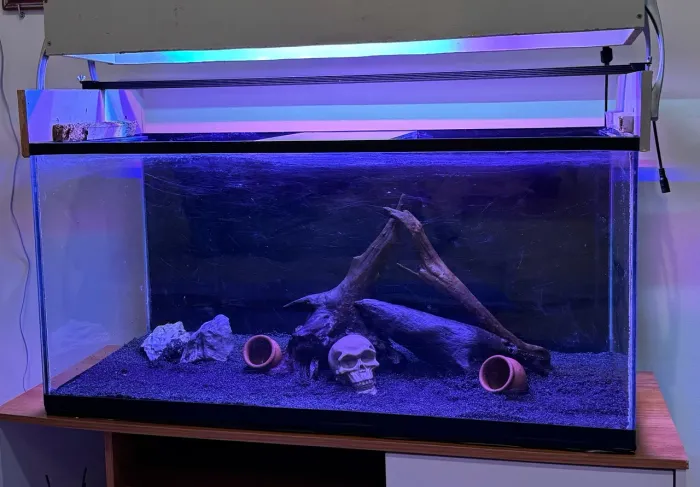 AQUÁRIO 130 LITROS COMPLETO PARA USO!