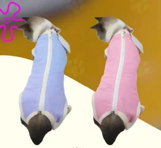 Roupa pet