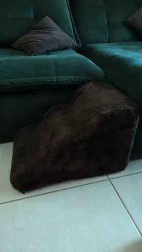 Rampa escada pet