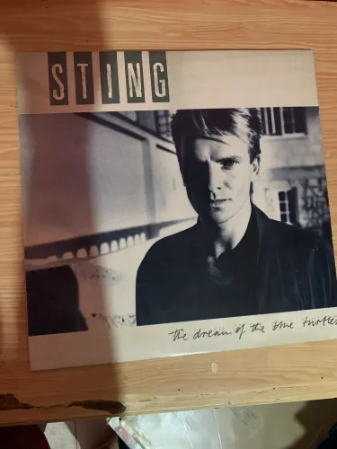 Vinil Sting