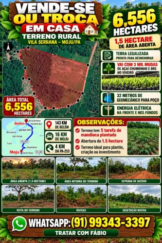 Vendo terreno 