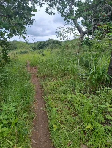 Terreno medindo 30 mil metros quadrados 3 hectares de terra
