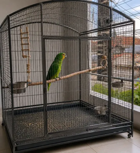 Vendo