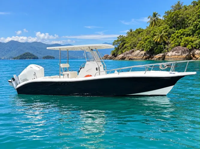 FISHING RAPTOR 2021 MOTOR 250 HP