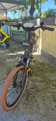 Bicicleta Lev L Seminova