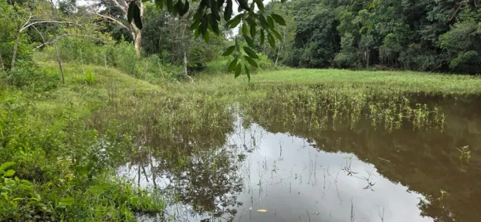Vendo Sítio de 10.000m² Próximo à Vargem Bento da Costa em Esmeraldas MG.