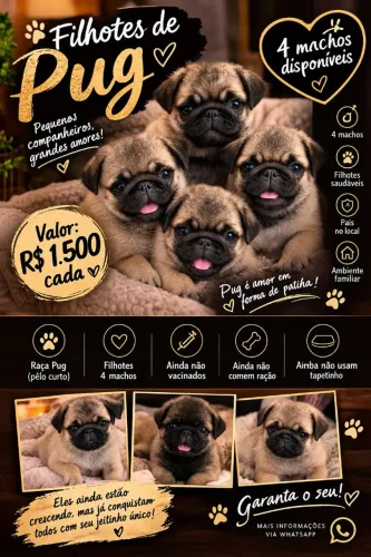 Cachorro 