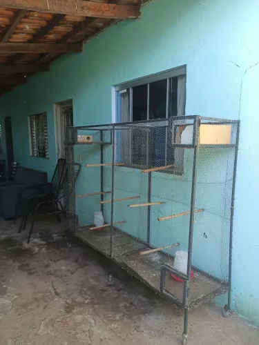 Vendo Viveiro grande