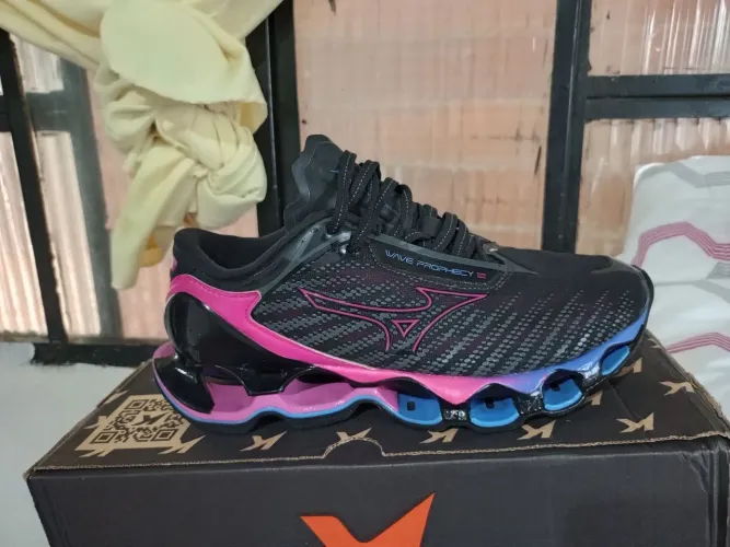 Mizuno prophecy