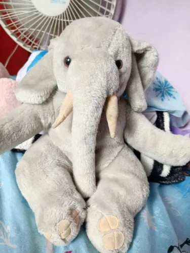 Elefante da Parmalat